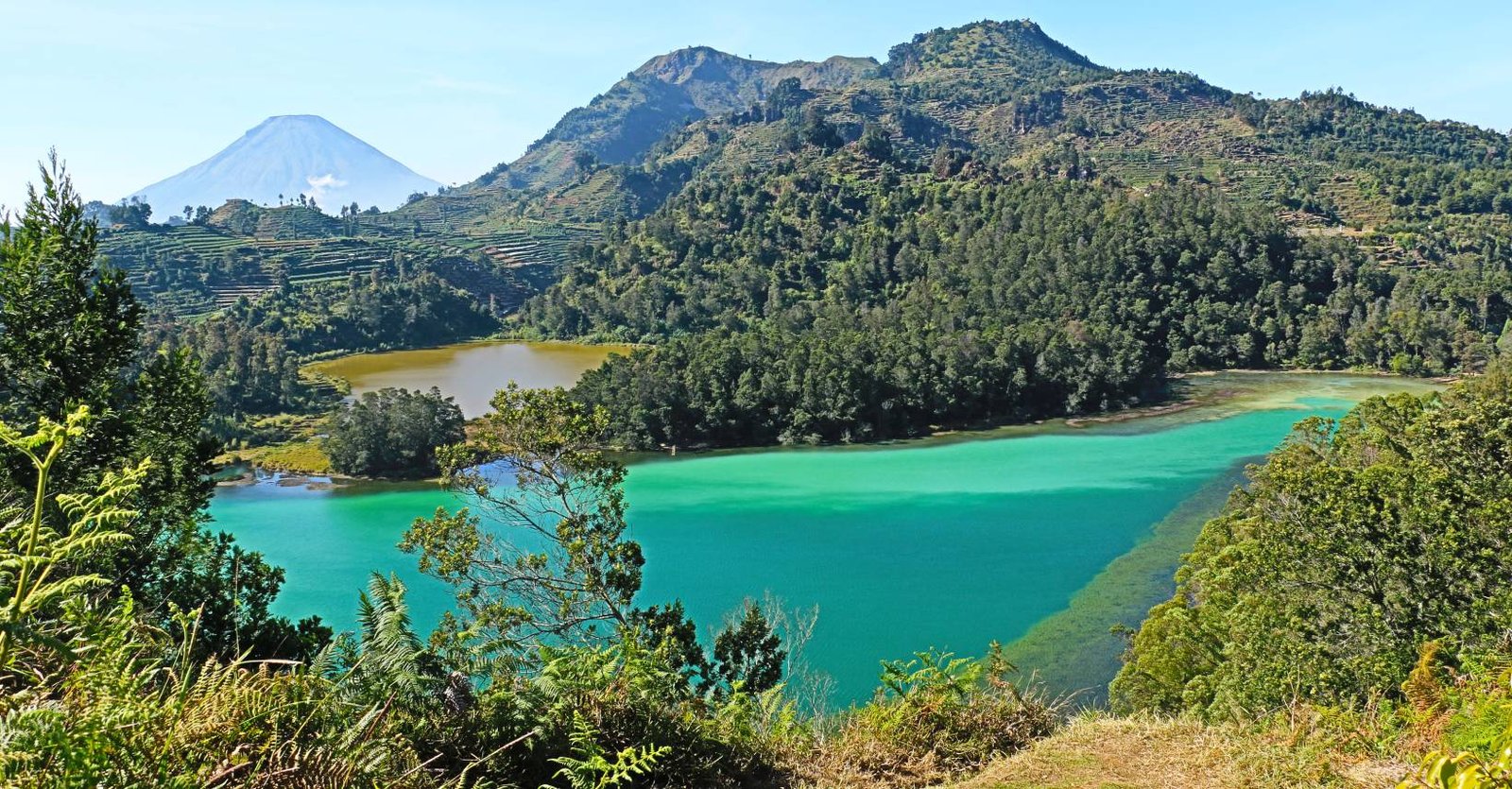 Jogja Dieng